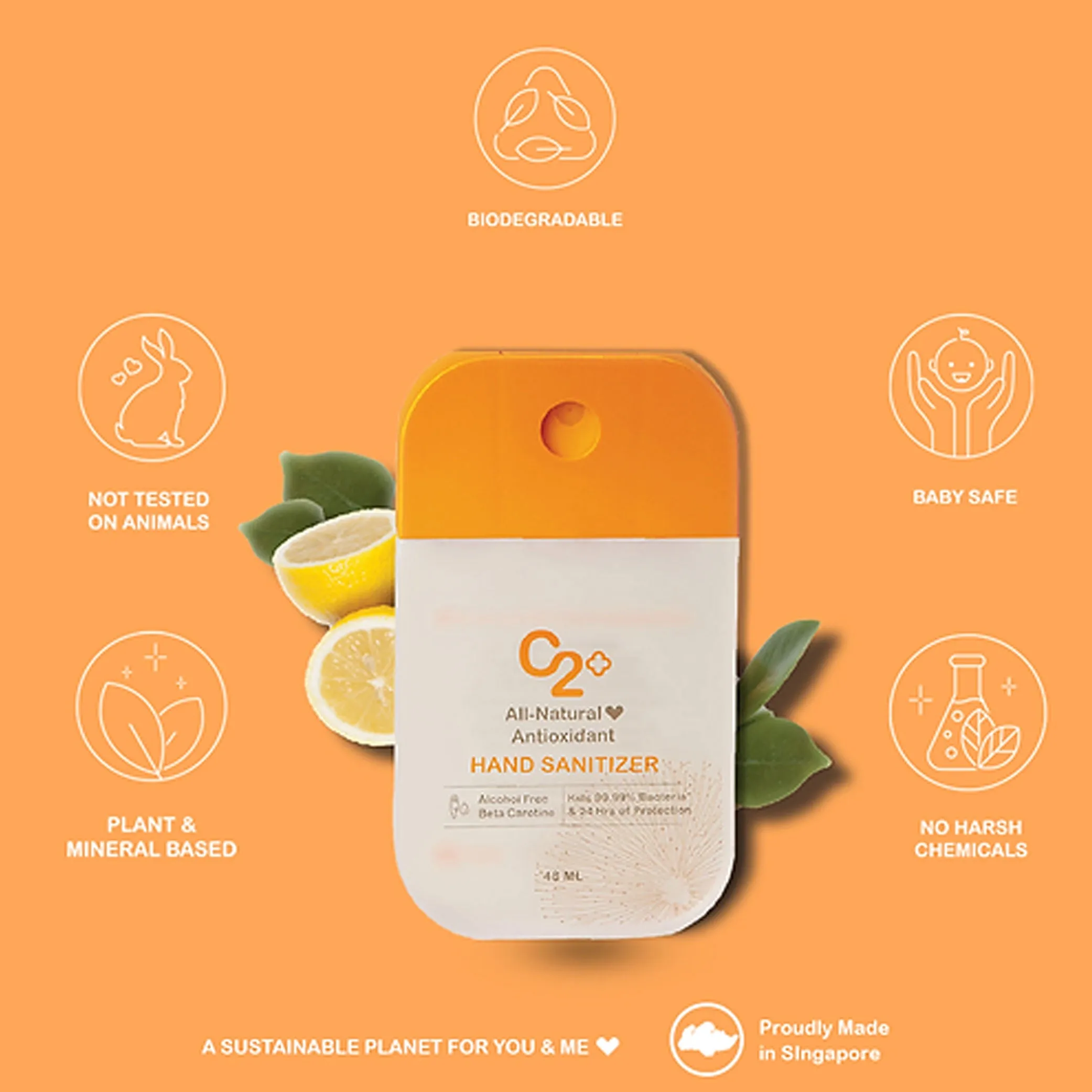 C2 Hand Sanitizer [24Hrs] 48ml